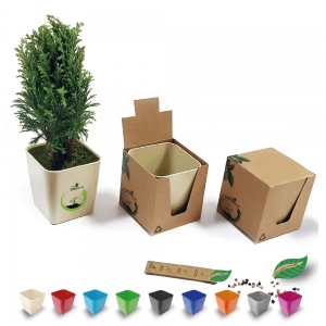 https://www.liziahome.ro/media/images/small/